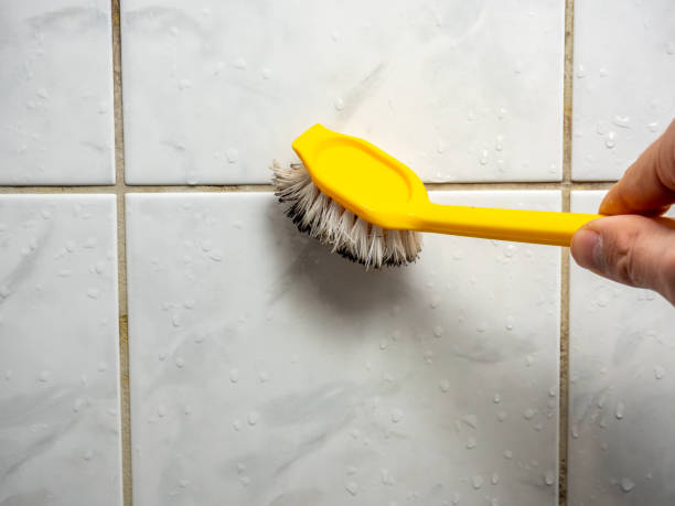 Best Black Mold Remediation in Franklin, TX