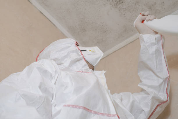 Best Mold Remediation for Schools in Franklin, TX