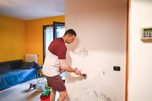 Best Basement Mold Remediation in Franklin, TX